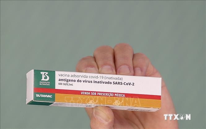 Vaccine kết hợp phòng cúm và COVID-19 của Brazil thử nghiệm thành công trên động vật