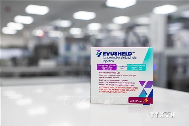AstraZeneca cho biết thuốc Evusheld có thể vô hiệu hóa các dòng phụ của biến thể Omicron