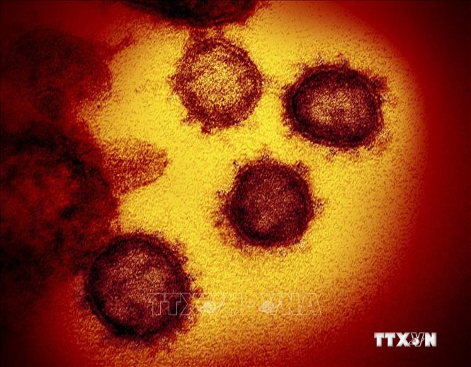 Giới khoa học theo dõi biến thể mới XE của virus SARS-CoV-2