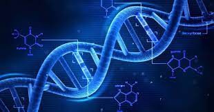 Các nhà nghiên cứu Israel tìm ra cơ chế sửa chữa ADN hiệu quả