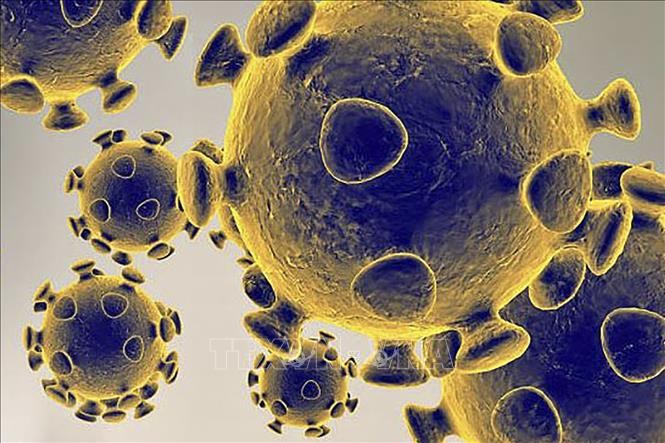 Canada: Phát triển thành công thiết bị khử virus SARS-CoV-2 trong 60 giây