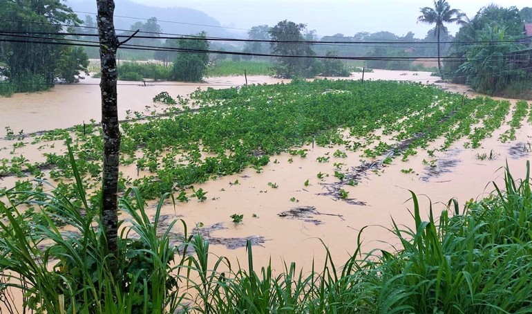 Mưa lớn, nhiều khu vực phía Nam tỉnh Lâm Đồng bị ngập cục bộ
