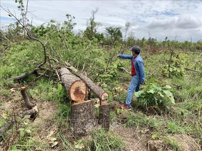 Vụ phá hơn 380 ha rừng tại Đắk Lắk: Kỷ luật hai lãnh đạo xã Ya Tờ Mốt