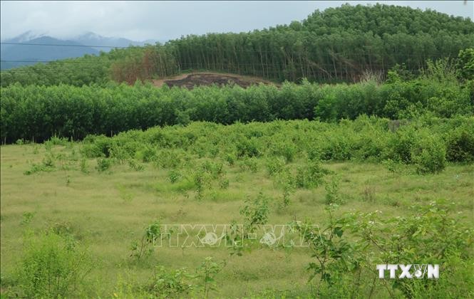Nỗ lực phủ xanh đất trống, đồi trọc tại huyện miền núi Khánh Vĩnh