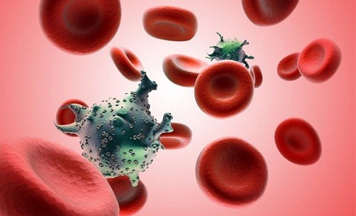 Tìm ra liệu pháp mới điều trị ung thư máu ở trẻ em