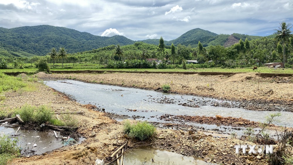 Bình Định: Bờ sông La Tinh sạt lở, người dân mất đất sản xuất