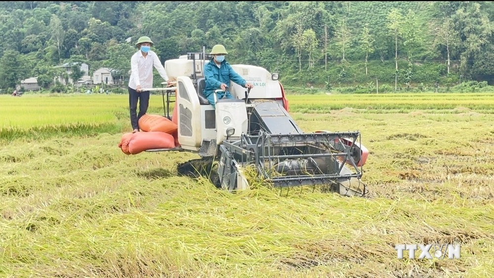 Lai Châu đẩy mạnh cơ giới hóa để phát triển nông nghiệp hàng hóa