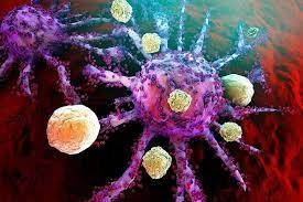 Phát hiện tế bào miễn dịch mới chống lại ung thư và các bệnh mãn tính