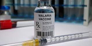 Vaccine mới phòng bệnh sốt rét đạt hiệu quả thử nghiệm cao