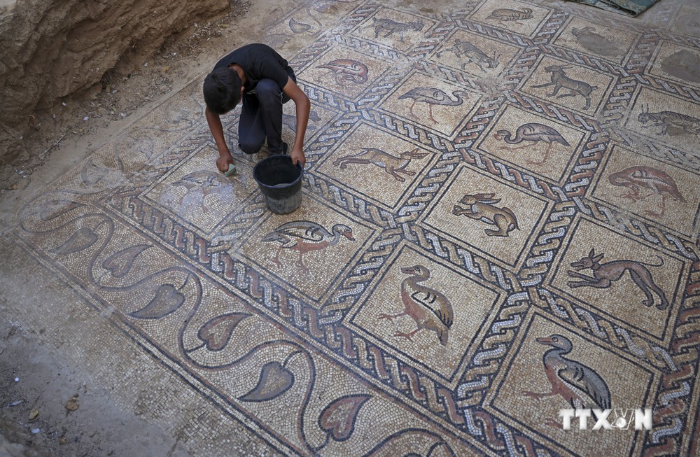 Phát hiện sàn nhà cổ trang trí tranh khảm quý hiếm tại Gaza