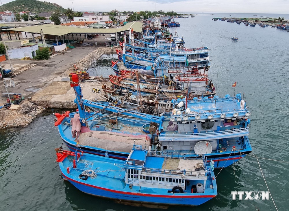 Ngư dân Ninh Thuận hối hả đưa thuyền vào bờ tránh bão số 4