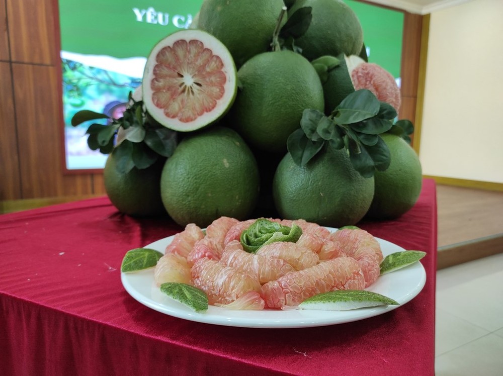 Trái bưởi tươi Việt Nam chính thức được xuất khẩu sang Hoa Kỳ