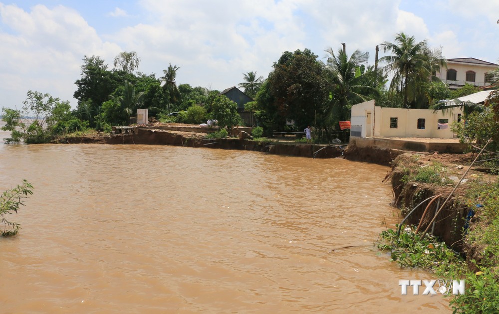 Đồng Tháp: Phức tạp tình hình sạt lở bờ sông trong mùa mưa lũ