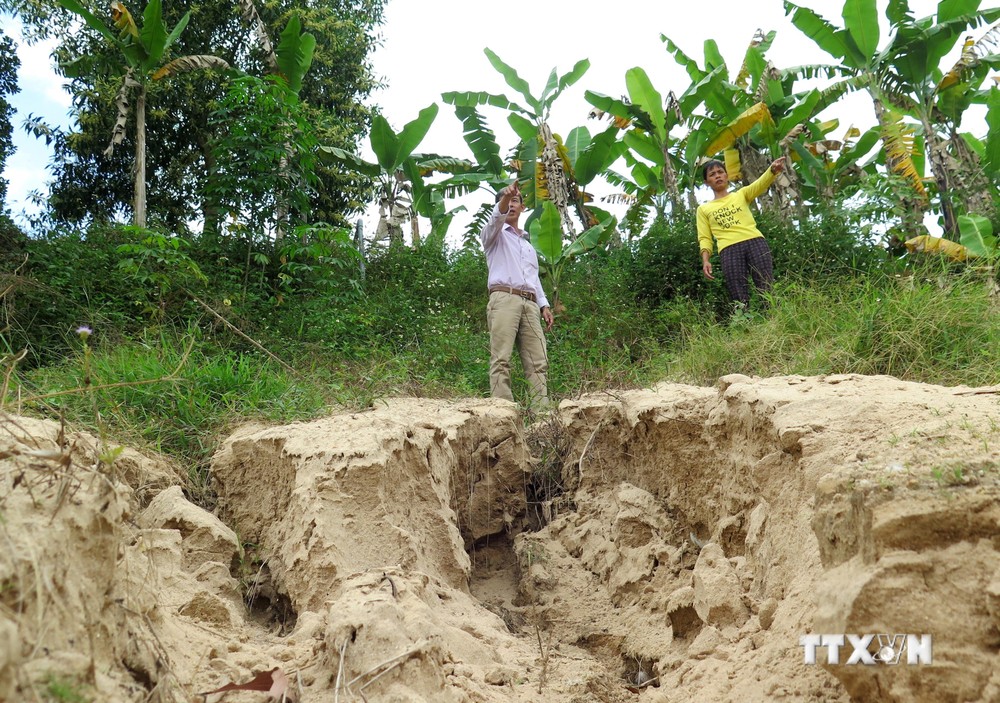 Bình Định: Người dân sống thấp thỏm với sạt lở bờ sông