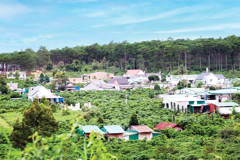 Lâm Đồng ổn định đời sống người dân di cư ngoài kế hoạch