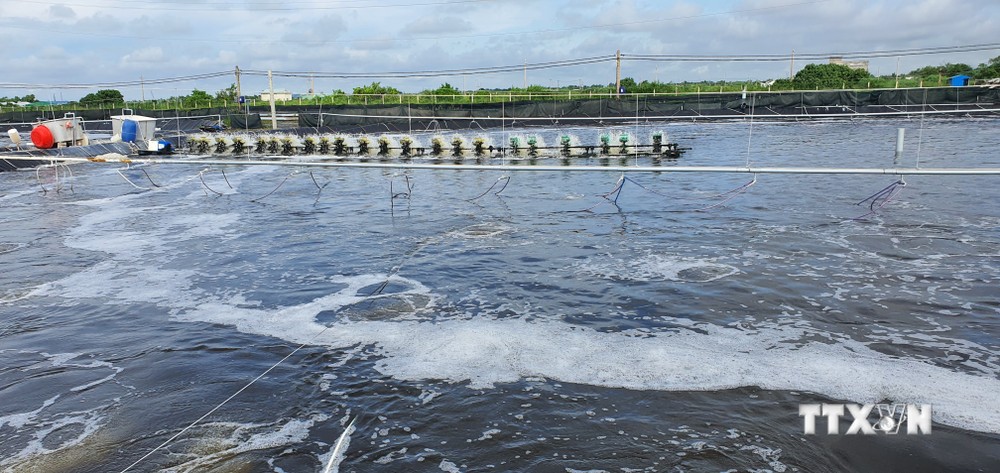 Sóc Trăng: Phát triển nuôi trồng thủy sản theo hướng ứng dụng công nghệ cao