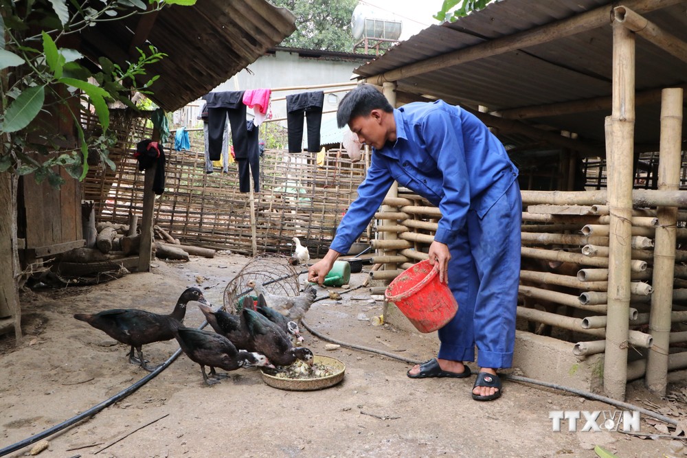 Tỉ lệ hộ nghèo ở xã Bum Tở, huyện Mường Tè lên tới 87,8%. Ảnh: Nguyễn Oanh-TTXVN