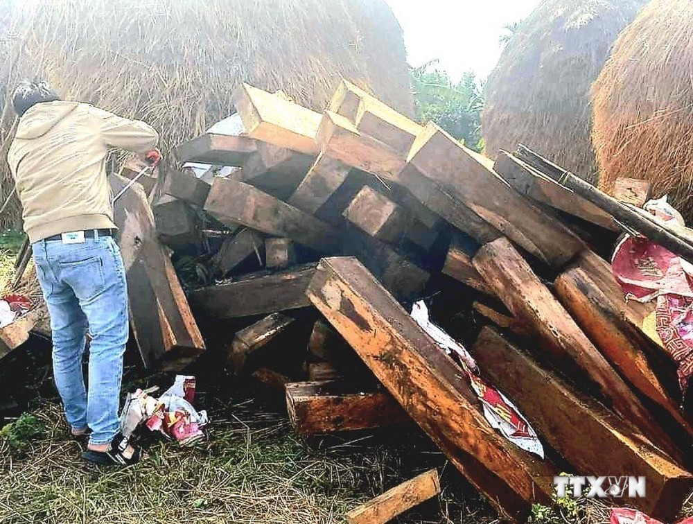 Quảng Ngãi phát hiện hơn 100 phách gỗ ké không có giấy tờ hợp pháp cất giấu ở nhà dân