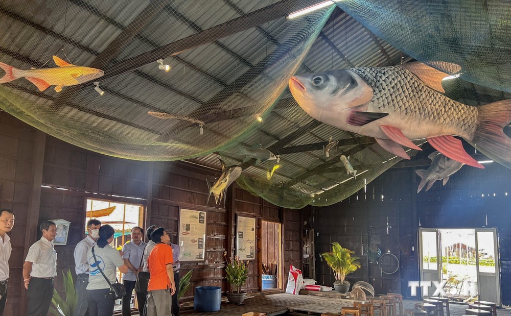 Mô hình 3D về loài cá hiếm giúp quảng bá du lịch Cồn Sơn
