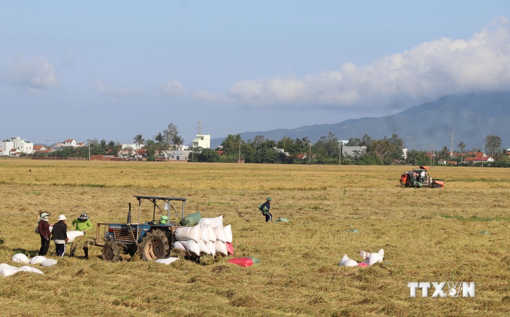 Phú Yên hướng sản xuất nông nghiệp hữu cơ phục vụ xuất khẩu