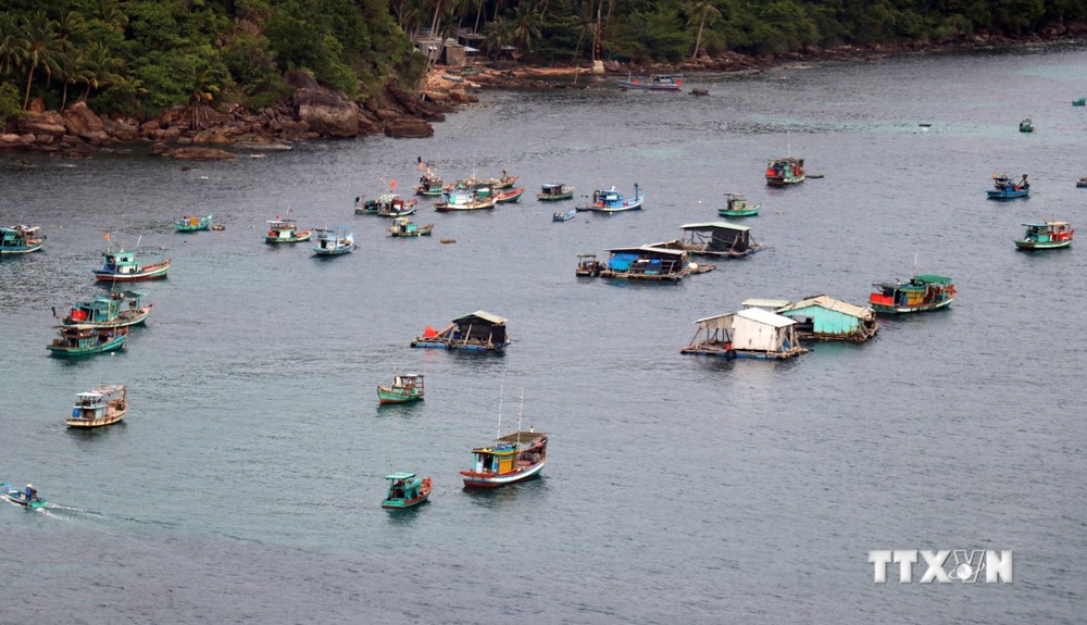 Kiên Giang phát triển nuôi cá lồng bè trên biển