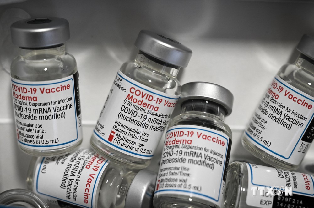 Vaccine ngừa COVID-19 của Moderna. Ảnh: AFP/TTXVN