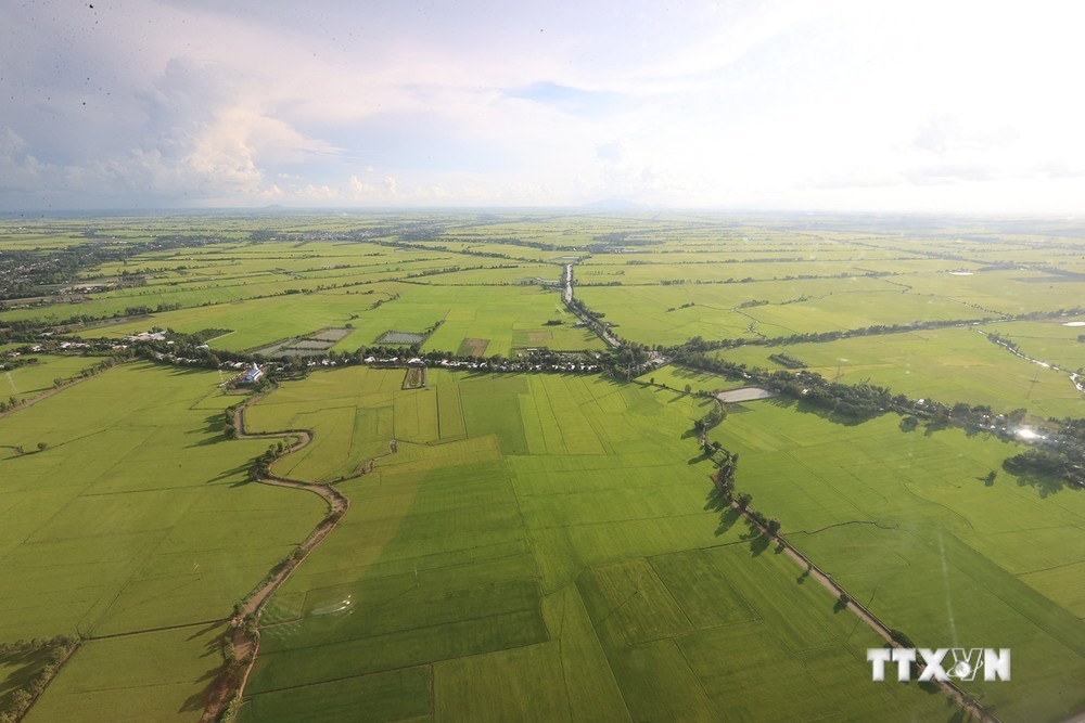 Thứ trưởng Trần Thanh Nam: Xây dựng chuỗi giá trị lúa gạo bền vững gắn với tăng trưởng xanh