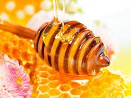 Hải Dương xây dựng thương hiệu cho mật ong hoa vải
