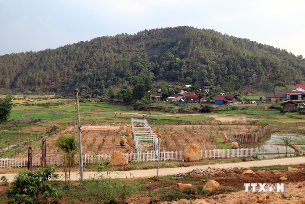 Huyện Kon Plông lập Tổ công tác đặc biệt kiểm tra, xử lý vi phạm về đất đai