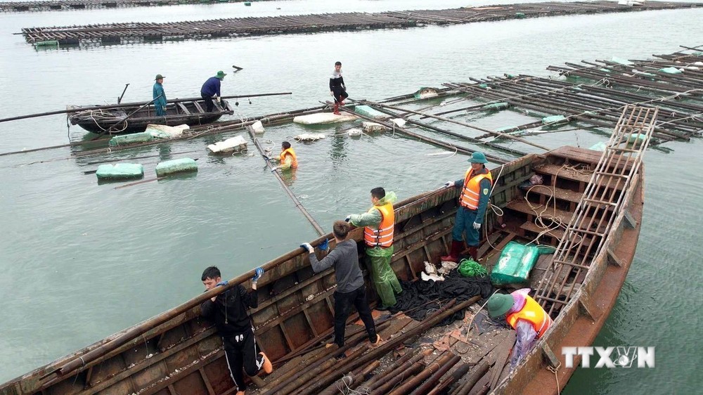 Ngư dân Quảng Ninh bộn bề lo toan làm mới nghề nuôi trồng thủy sản