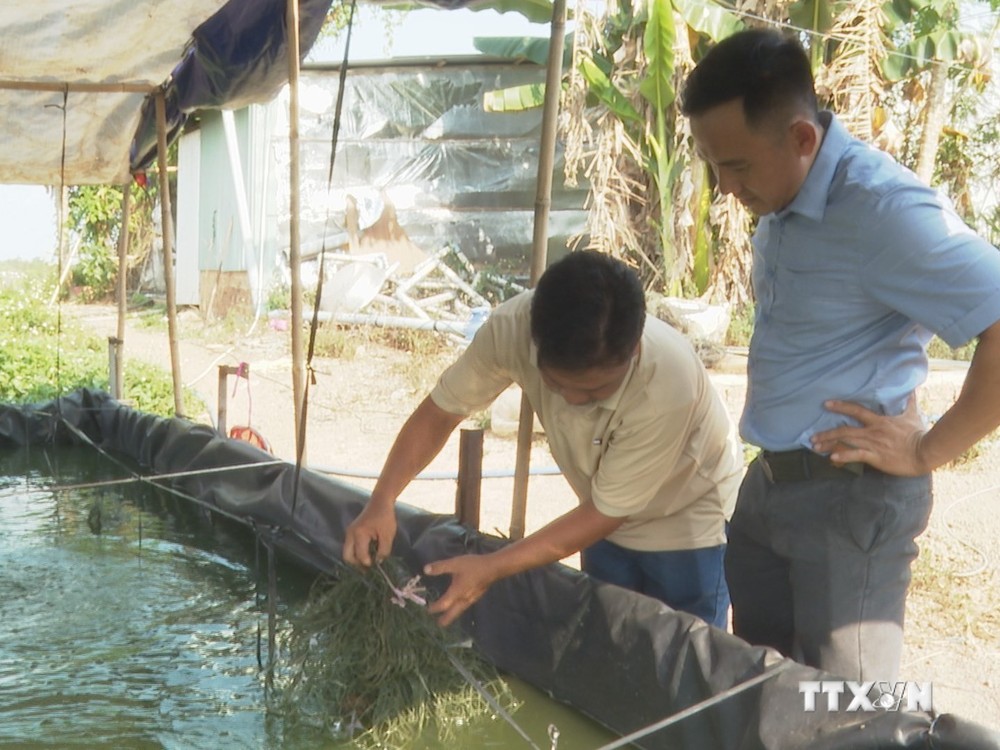 Mô hình khởi nghiệp nuôi cá đặc sản cho thu nhập cao của anh Nguyễn Hoàng Anh Quốc