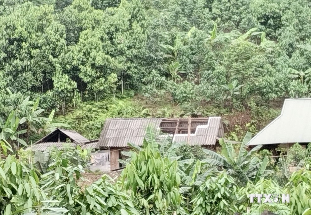 Yên Bái: Tìm thấy thi thể người mất tích, gần 500 ngôi nhà bị thiệt hại do dông lốc