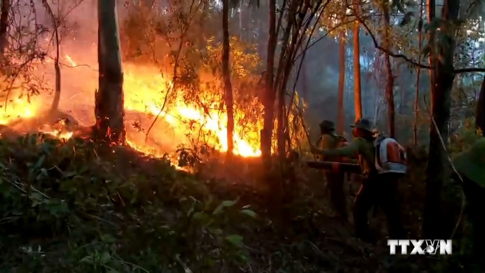 Nghệ An: Khẩn trương chữa cháy rừng tại huyện Nam Đàn trong đêm