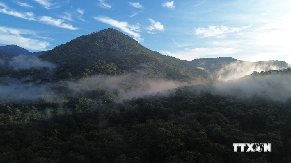 Phát huy “kho báu” Vườn Quốc gia Phước Bình gắn với phát triển du lịch sinh thái