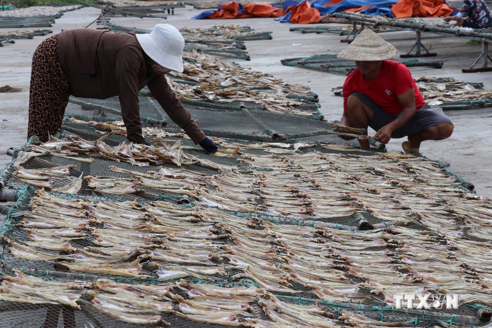 Người dân vùng biển tăng thu nhập từ chế biến cá khô