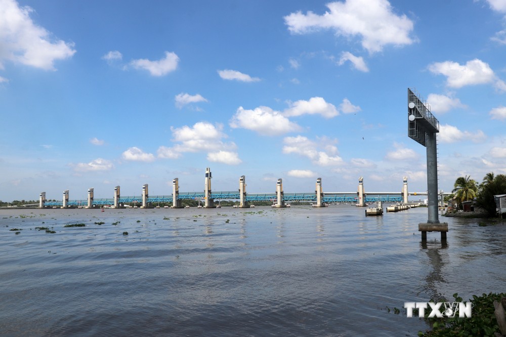 Dự báo xâm nhập mặn đến sớm ở Đồng bằng sông Cửu Long