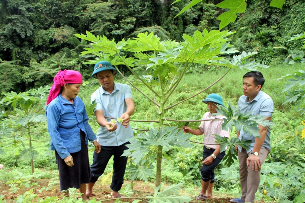 Loay hoay giữ chuẩn nông thôn mới ở Lai Châu