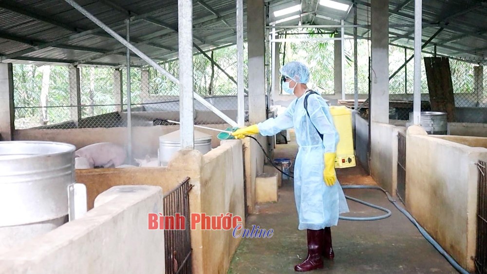 Trung tâm Dịch vụ nông nghiệp thành phố Đồng Xoài phun hóa chất tiêu độc, khử trùng chuồng trại chăn nuôi trên địa bàn thành phố Đồng Xoài. Ảnh: baobinhphuoc.com.vn