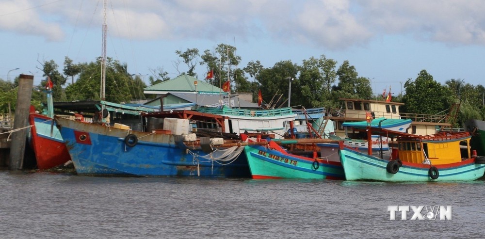 Ngư dân Bạc Liêu gặp khó vụ khai thác hải sản cuối năm