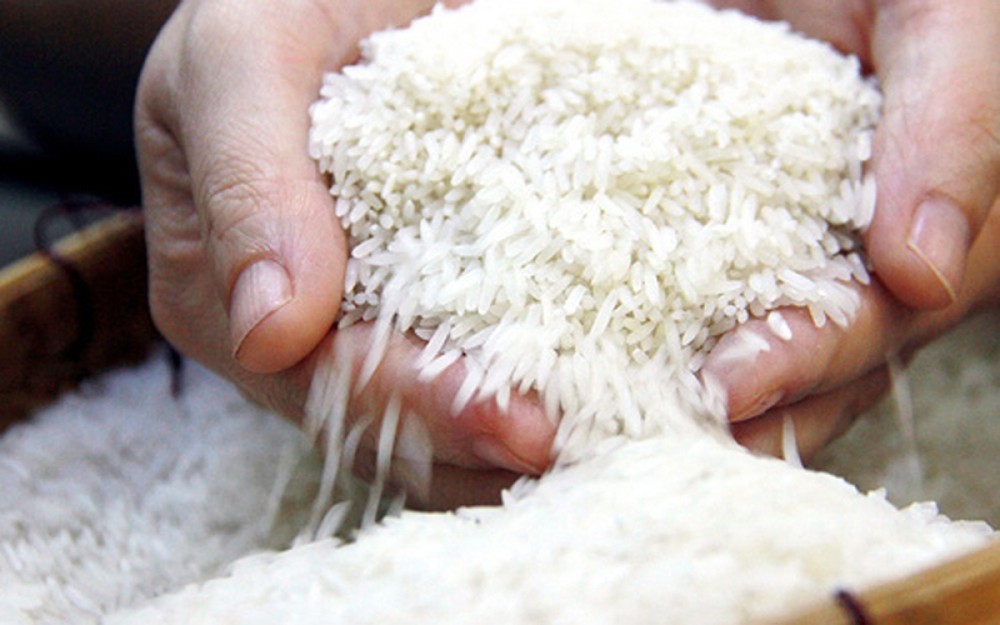 Hỗ trợ trên 267 tấn gạo cho học sinh vùng đặc biệt khó khăn