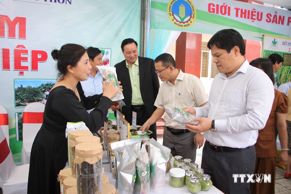 Tái cơ cấu nông nghiệp đem lại hiệu quả thiết thực ở Quảng Ngãi