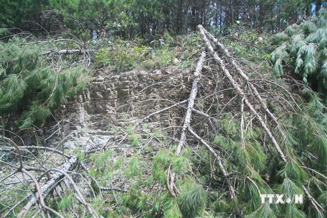 Kiểm điểm lãnh đạo Sở Nông nghiệp và Phát triển nông thôn tỉnh Lâm Đồng các thời kỳ vì để mất hơn 777 ha rừng