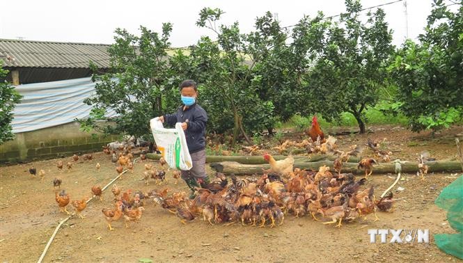 Giảm nghèo bền vững từ nguồn vốn chính sách ở Thừa Thiên - Huế