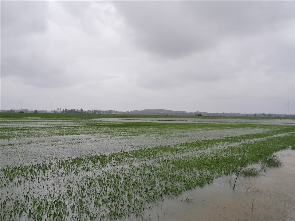 Quảng Bình khẩn trương khắc phục hậu quả do mưa to trái mùa