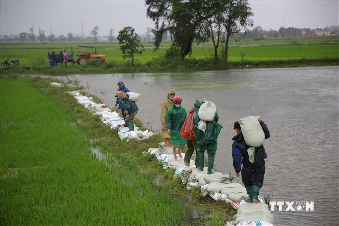 Thủ tướng Chính phủ yêu cầu tập trung khắc phục hậu quả mưa lũ bất thường tại miền Trung