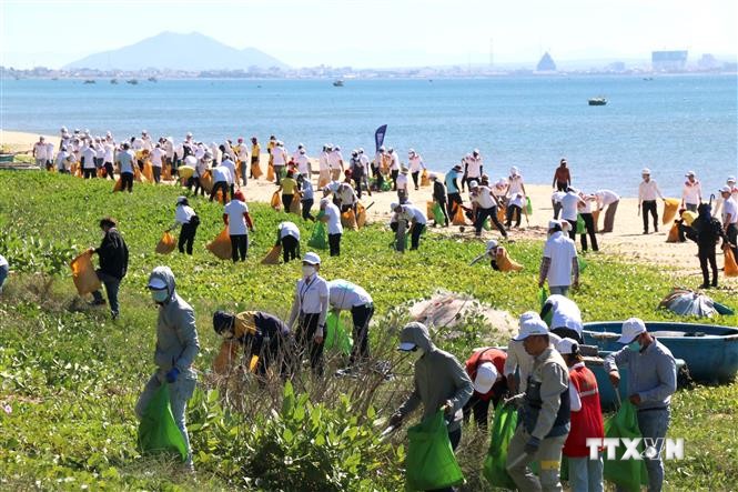 Triển khai trồng 10 triệu cây xanh bảo vệ môi trường trên địa bàn tỉnh Bình Thuận