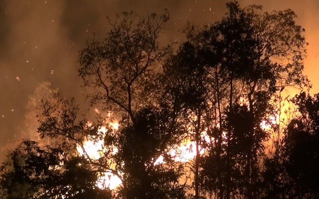 Kịp thời dập tắt đám cháy rừng trong đêm ở Điện Biên