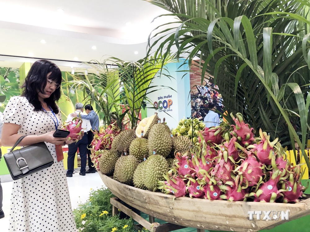 Năm 2025, cơ bản diện tích cây ăn quả đặc sản Tiền Giang sẽ được cấp mã số vùng trồng xuất khẩu