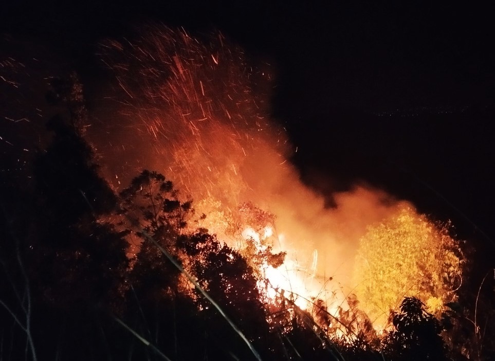 Vụ cháy rừng tại Lâm Đồng gây thiệt hại khoảng 2ha rừng nghèo kiệt