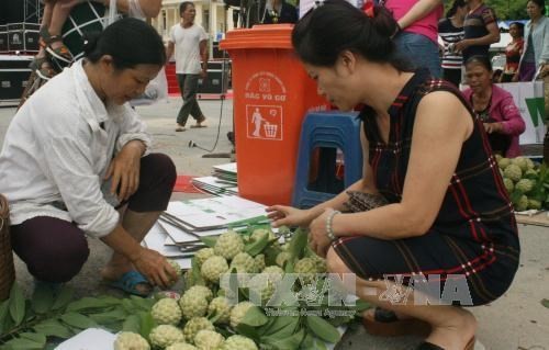 Lạng Sơn tổ chức Ngày hội Na Chi Lăng lần thứ nhất năm 2017